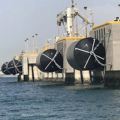Colorful PU EVA Floating Foam Fender 2000 * 3500mm Ocean Guard Fender